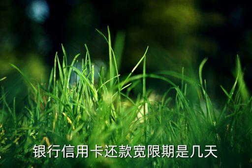 银行信用卡还款宽限期是几天