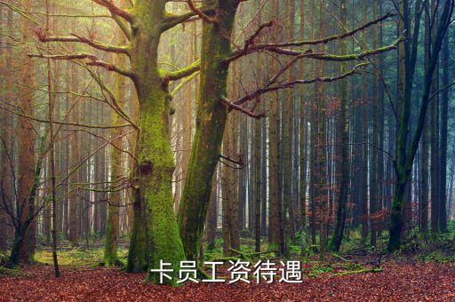 平安银行信用卡上海裁员,上海平安银行信用卡中心
