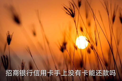 招商银行信用卡手上没有卡能还款吗
