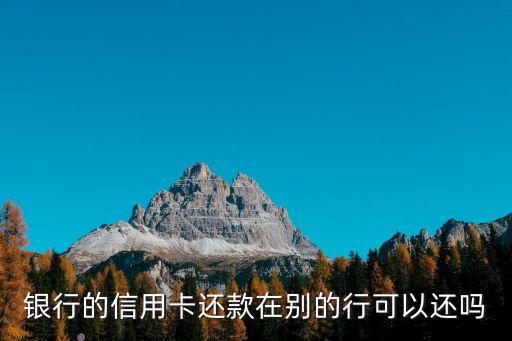 银行的信用卡还款在别的行可以还吗