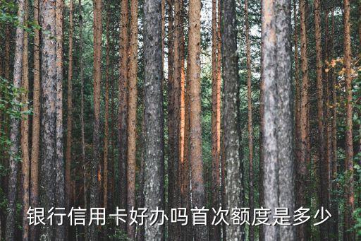 银行信用卡好办吗首次额度是多少