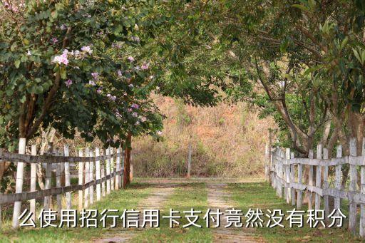 么使用招行信用卡支付竟然没有积分