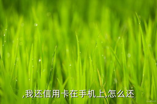 自己贷款信用卡还款怎么还,信用卡贷款是怎么还的