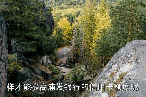 样才能提高浦发银行的信用卡额度呢