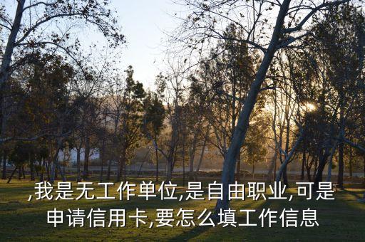 申请信用卡资料该怎么填,如何查询信用卡申请信息