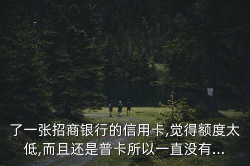了一张招商银行的信用卡,觉得额度太低,而且还是普卡所以一直没有...