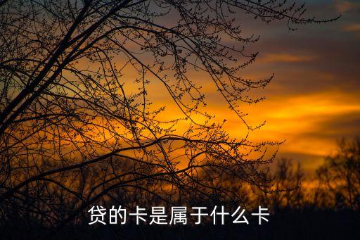 贷的卡是属于什么卡