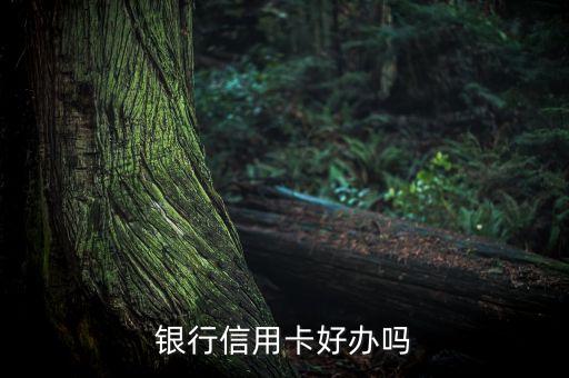 银行信用卡好办吗