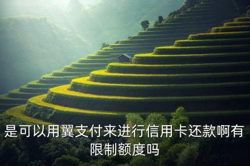 是可以用翼支付来进行信用卡还款啊有限制额度吗