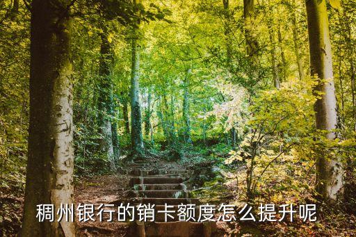 稠州银行的销卡额度怎么提升呢