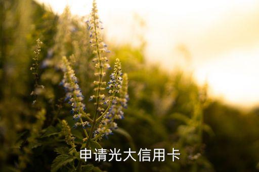 现在办光大银行信用卡,办理光大银行信用卡领取礼品