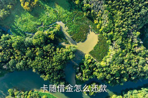 卡随借金怎么还款