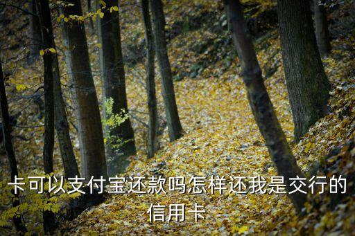 卡可以支付宝还款吗怎样还我是交行的信用卡