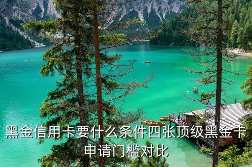 黑金信用卡要什么条件四张顶级黑金卡申请门槛对比