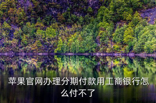 苹果工行信用卡分期还款,工行信用卡10000元分期12期,每月还款多少