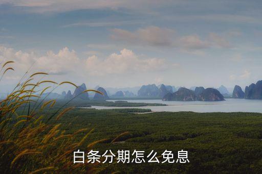 白条分期怎么免息
