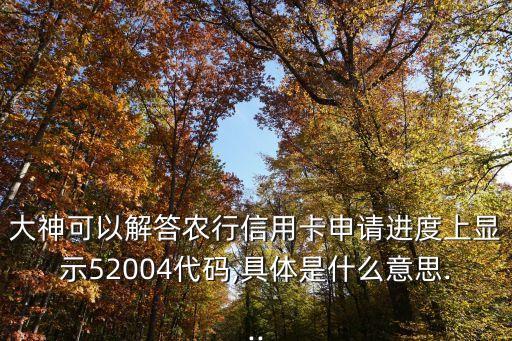 大神可以解答农行信用卡申请进度上显示52004代码,具体是什么意思...