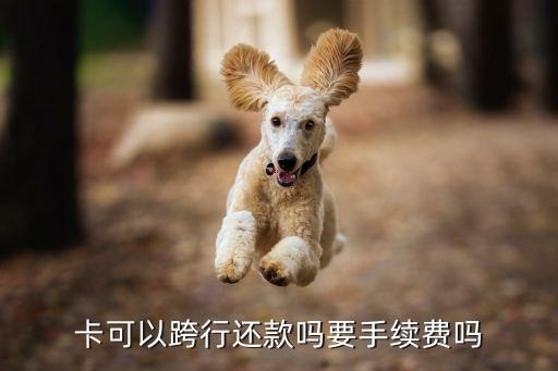 卡可以跨行还款吗要手续费吗