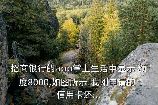 招商银行的app掌上生活中显示 额度8000,如图所示!我刚申请的 信用卡还...