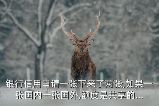 申请了工行两张信用卡额度,工行申请了一张信用卡,给了两张