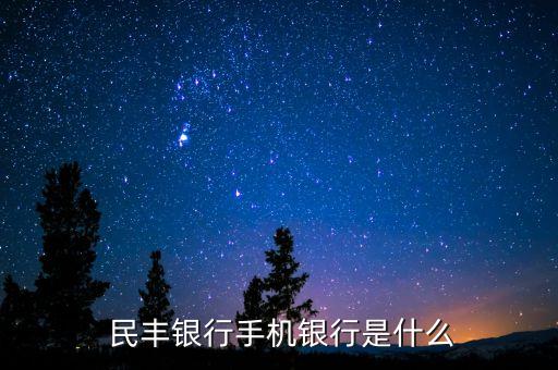  民丰银行手机银行是什么