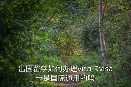 申请国外的信用卡