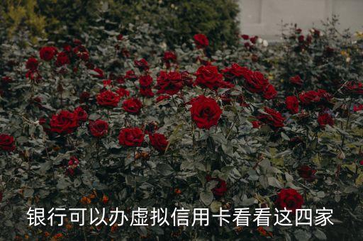 有虚拟信用卡申请,虚拟信用卡有年费吗