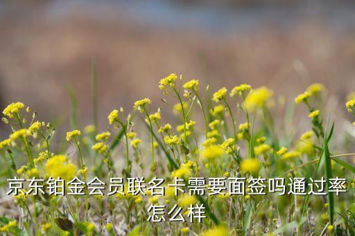 汇丰申请第二套信用卡,如何申请汇丰银行的信用卡