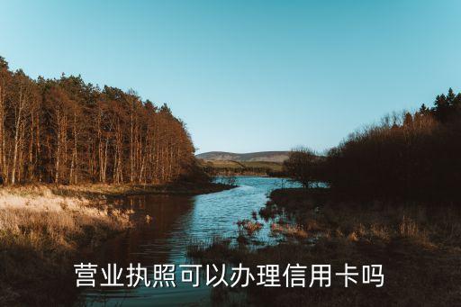营业执照可以办理信用卡吗