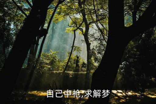 自己中枪,求解梦