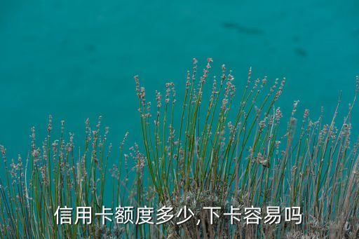 信用卡额度多少,下卡容易吗