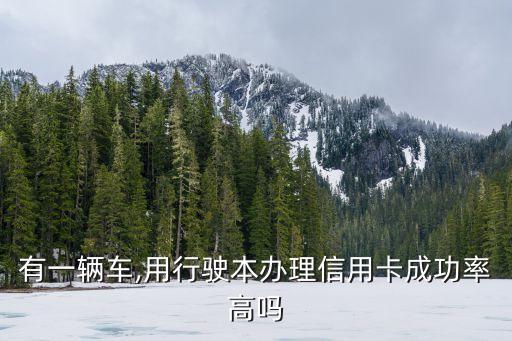 有一辆车,用行驶本办理信用卡成功率高吗