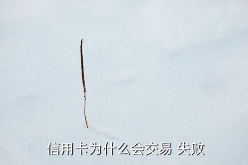  信用卡为什么会交易 失败