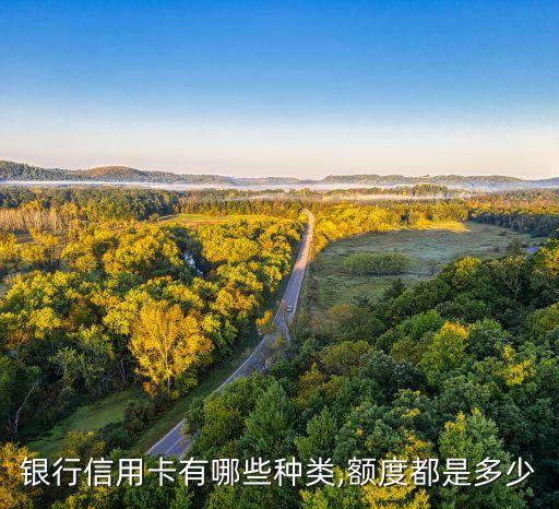 银行信用卡有哪些种类,额度都是多少