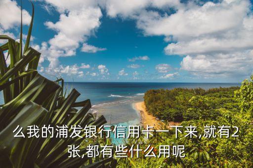 么我的浦发银行信用卡一下来,就有2张,都有些什么用呢