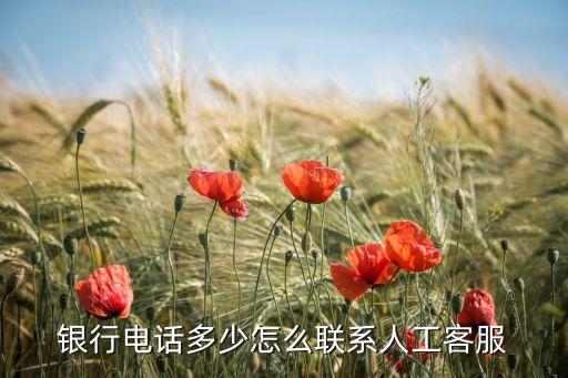 银行电话多少怎么联系人工客服