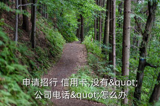 申请招行 信用卡,没有" 公司电话"怎么办
