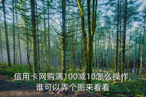 信用卡网购满100减10怎么操作,谁可以弄个图来看看