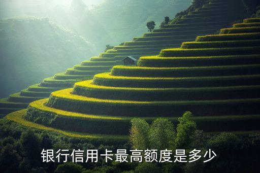 银行信用卡最高额度是多少