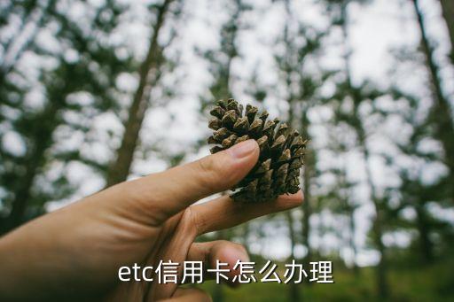申请信用卡e级,等级信用卡