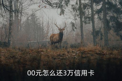 00元怎么还3万信用卡