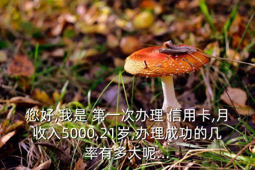 您好,我是 第一次办理 信用卡,月收入5000,21岁,办理成功的几率有多大呢...