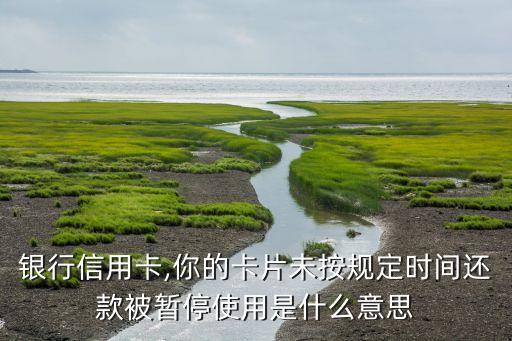 银行信用卡,你的卡片未按规定时间还款被暂停使用是什么意思
