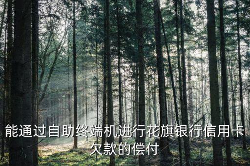 能通过自助终端机进行花旗银行信用卡欠款的偿付