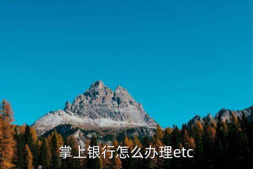 掌上银行怎么办理etc