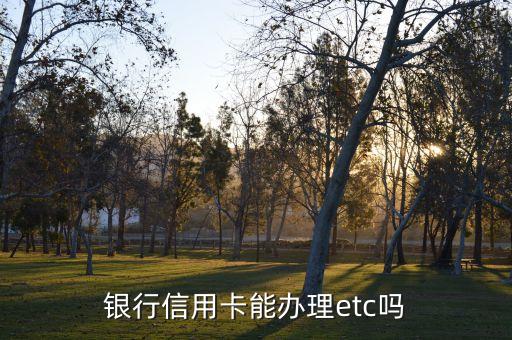银行信用卡能办理etc吗