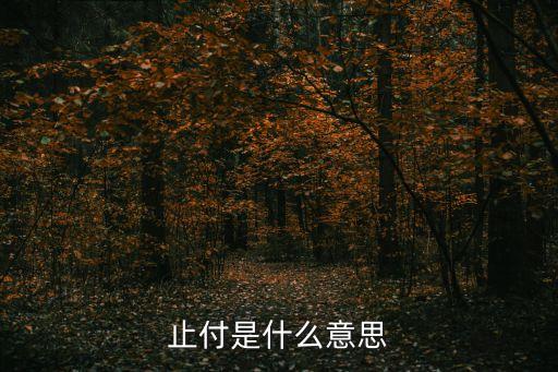 止付是什么意思