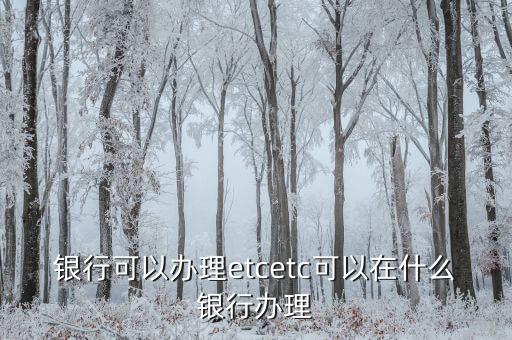 银行可以办理etcetc可以在什么银行办理