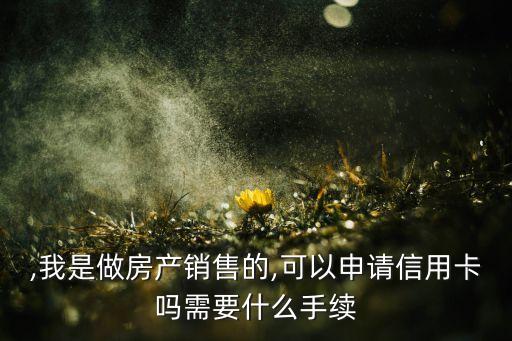 ,我是做房产销售的,可以申请信用卡吗需要什么手续
