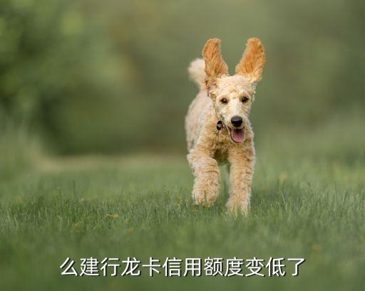 么建行龙卡信用额度变低了